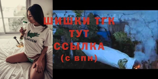 соль ск Алексин