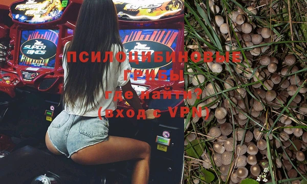 мдпв Абдулино